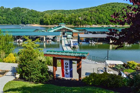Twin cove marina - More Info Email Email Business Extra Phones. Phone: (423) 562-9650 Phone: (423) 566-0929 Fax: (423) 562-9650 Payment method discover, all major credit cards, debit, amex, visa, mastercard AKA. Twin Cove Resort & Marina